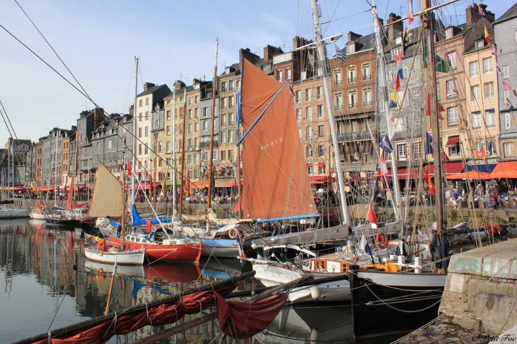 Fete crevette honfleur 1